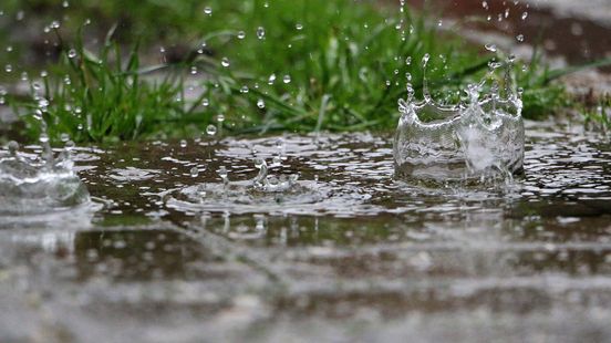 Razendsnelle Spreekbeurt: Petrichor