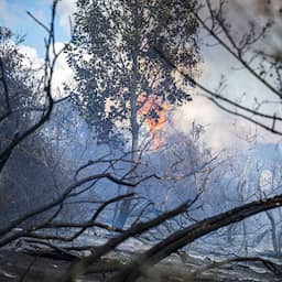 Duinbrand Ouddorp onder controle, tweeduizend vierkante meter natuur verwoest