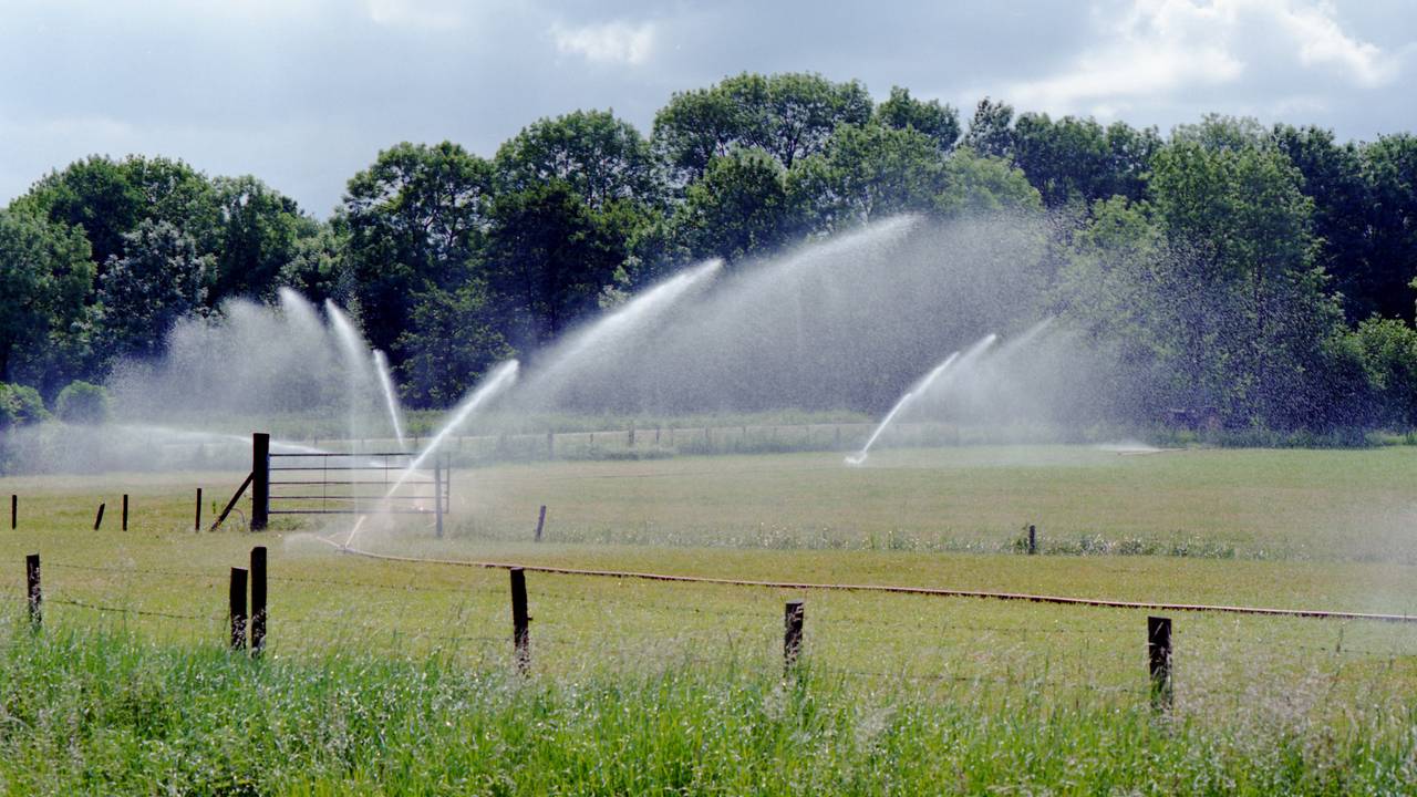 Verbod op water uit sloten en beken in delen van Brabant door droogte