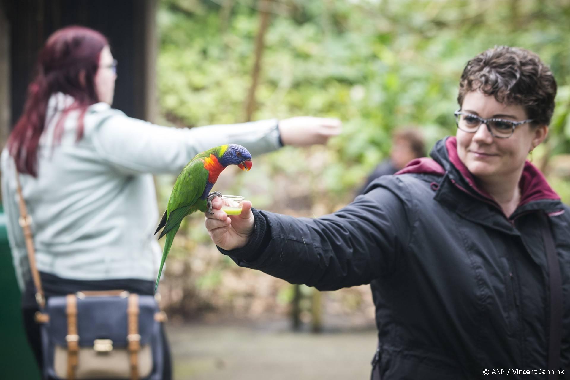 Onderzoek naar mogelijke vogelgriep in Wildlands Emmen