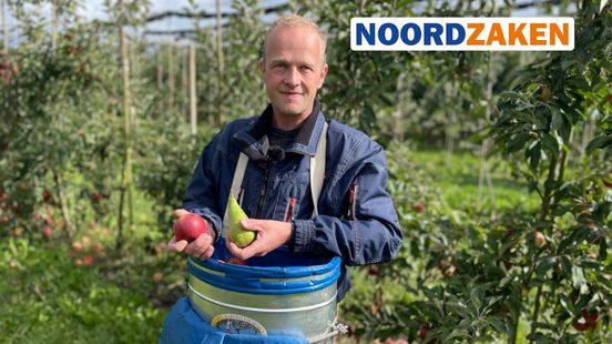 Appel- en perenoogst pakt dit jaar goed uit