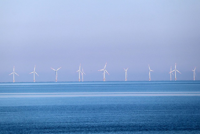 RWE krijgt $1,2 mrd van Amerikaanse overheid om offshore windprojecten te staken