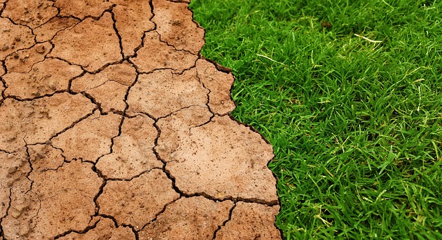 Nigeria: Analysis - COP17: Top Issues Dividing, Shaping Ongoing Negotiations in Mongolia