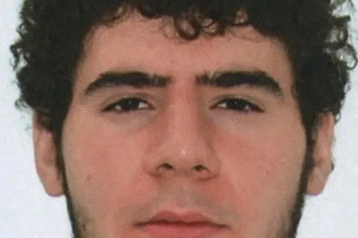 Berlin Pride attack: Police shoot dead 21-year-old suspect Abdul Ballout after manhunt