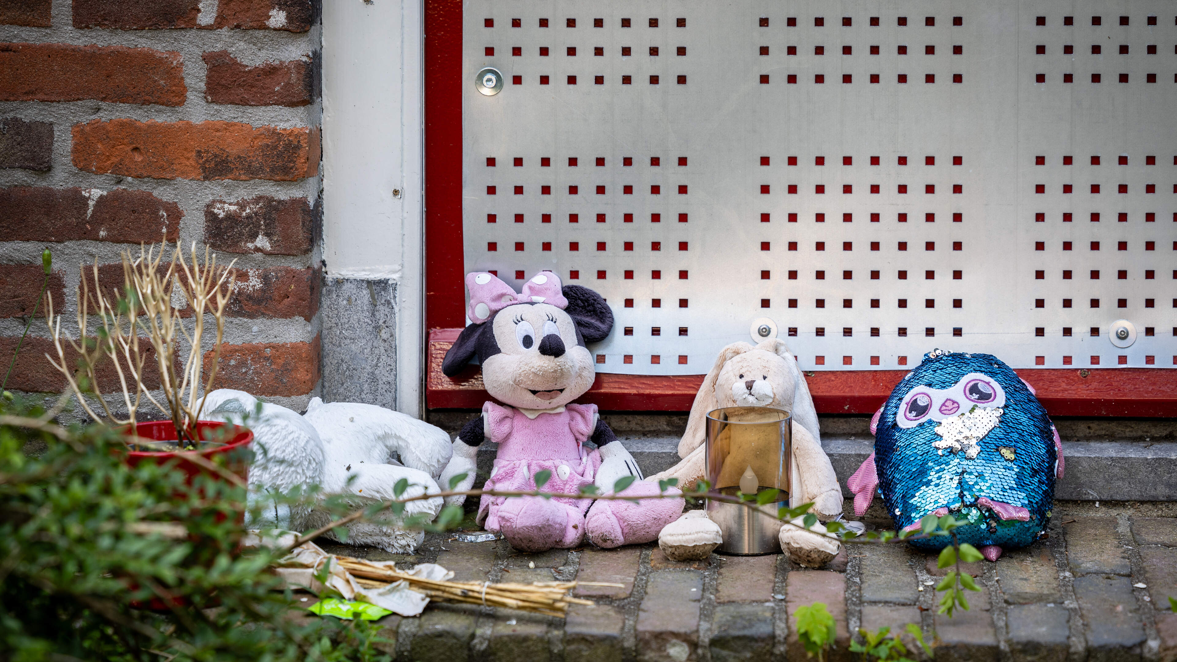 Jongen (9) hield gruweldagboek bij in Vlaardings pleeggezin: opgesloten in hondenhok en bekogeld met sigaretten