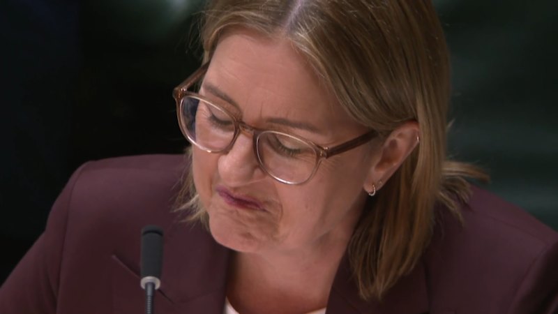 Victorian government slams no-confidence motion ‘stunt’