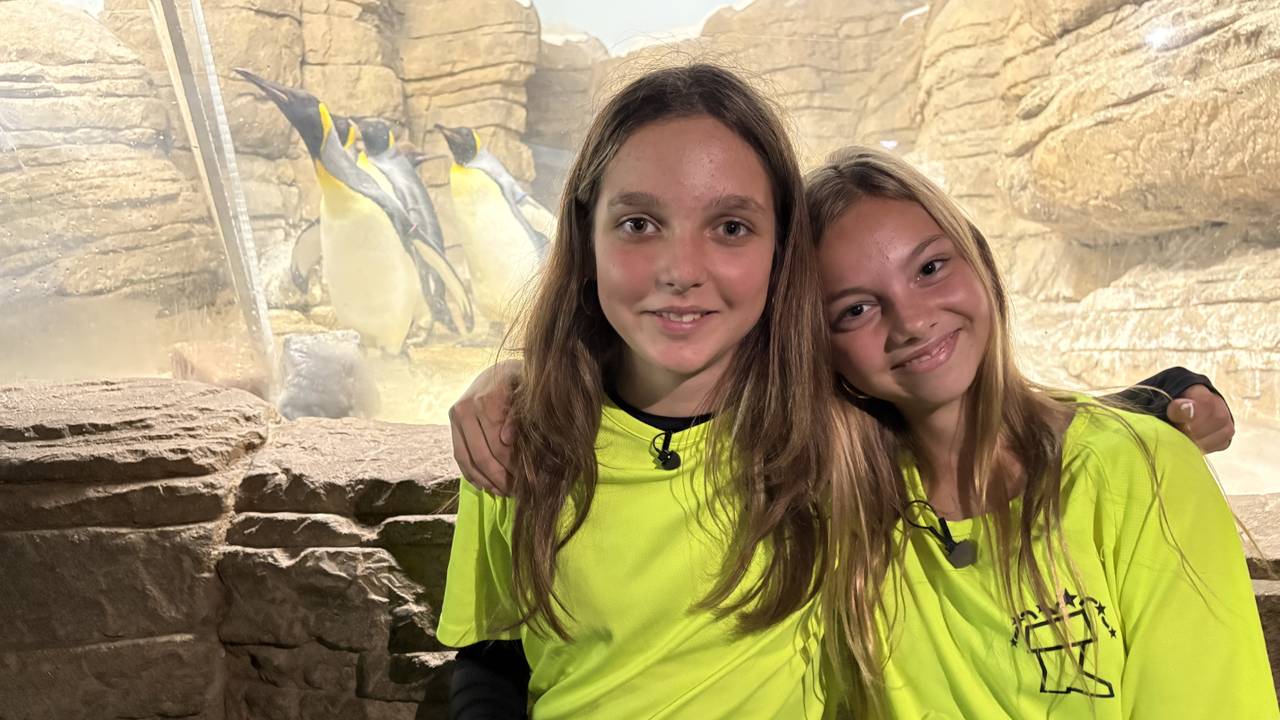 Suzi en Pip vernoemen pinguïn naar overleden leraar: ‘Je vergeet hem niet'