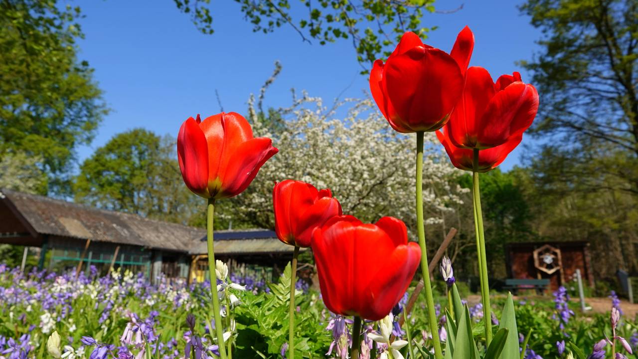 Zomerse temperaturen in zicht, de korte broek kan weer aan