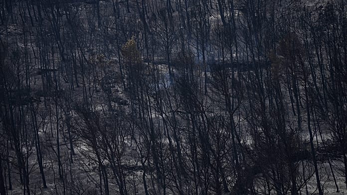 Fast-moving wildfire spreads across southern France