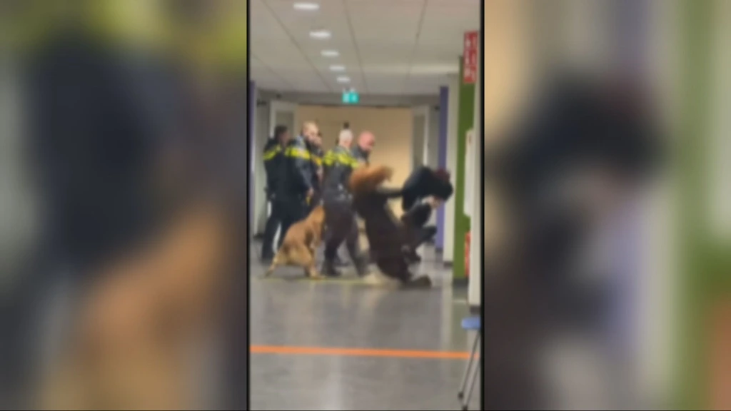 Agent over geweld tegen vrouw Zeist: 'Had anders gehandeld als ik wist dat ze zwanger was'