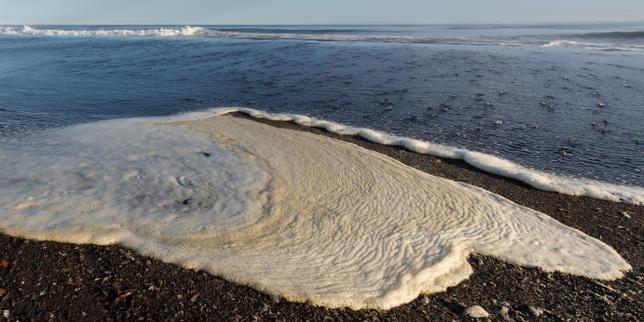 Pesticides, pharmaceuticals and industrial chemicals found everywhere in seawater