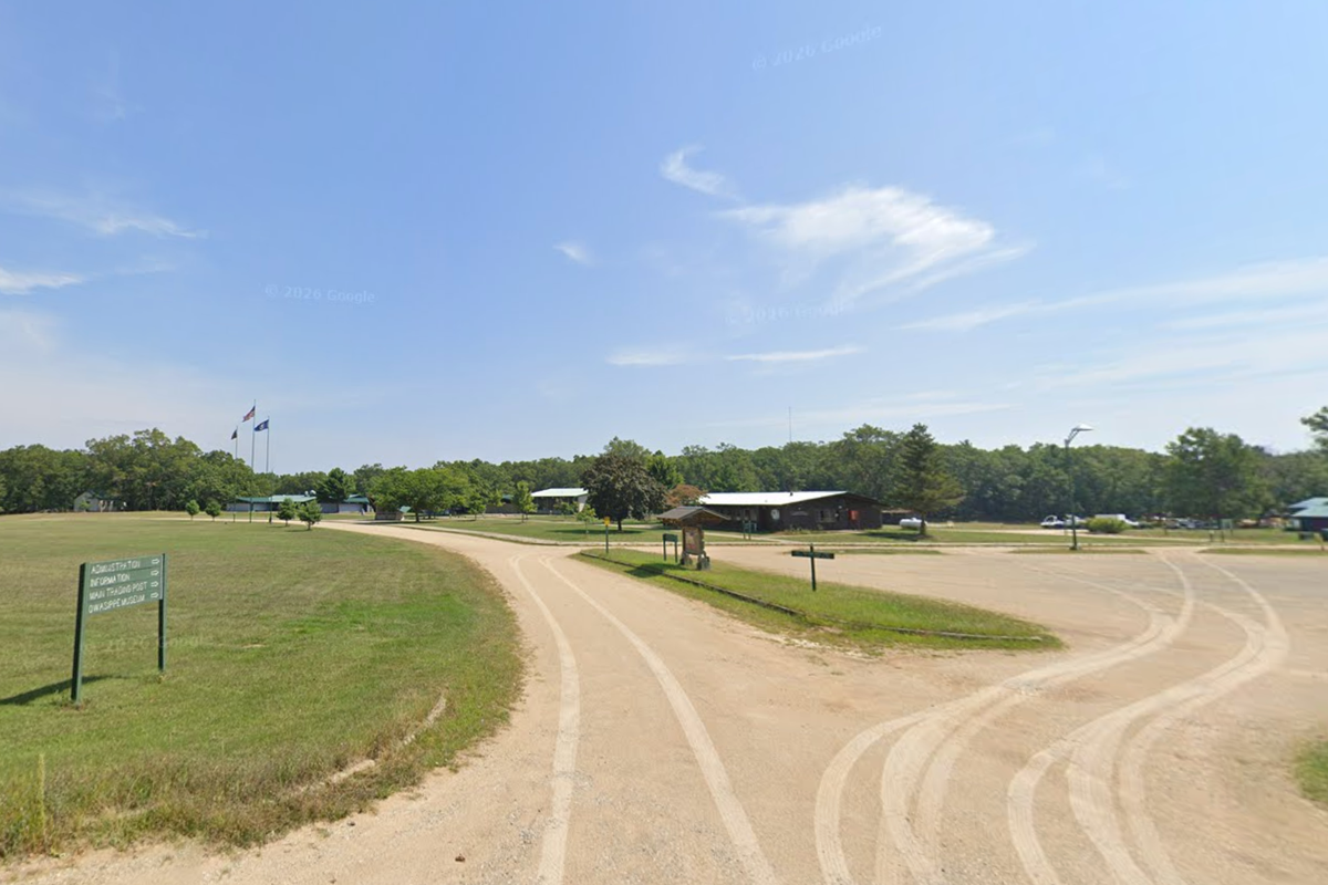 Boy, 11, killed by falling tree at Scout camp in Michigan