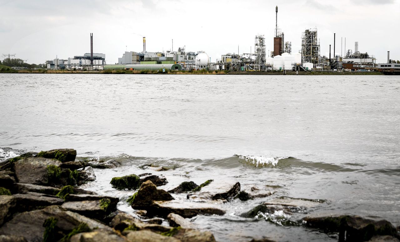 Waterkwaliteit niet verbeterd en ‘geen zicht’ op hoeveel chemische stoffen bedrijven lozen, zegt de Rekenkamer