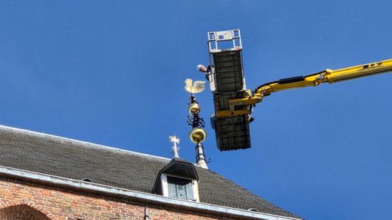 Haan keert terug op het dak van de Martinikerk