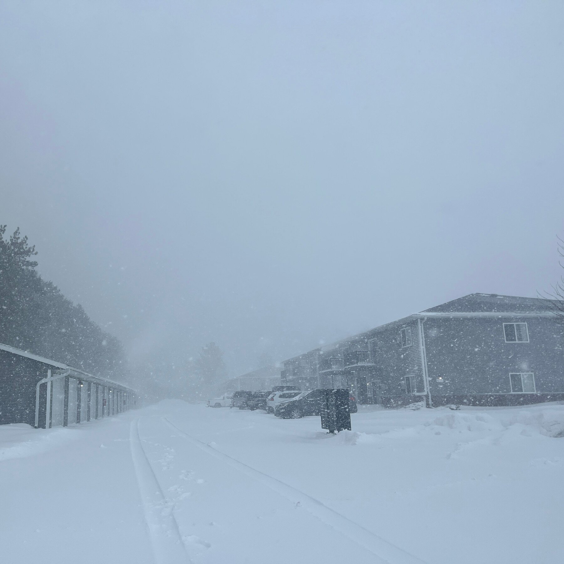 Powerful Winter Storm Disrupts Travel and Knocks Out Power in the Upper Midwest
