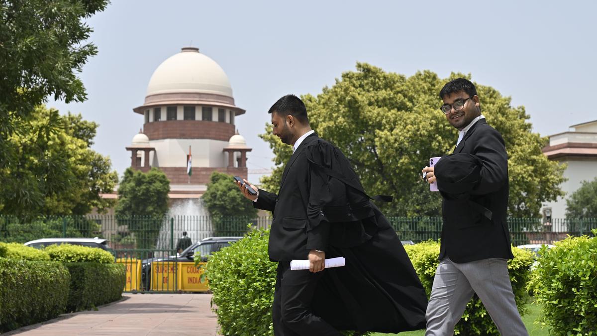 Supreme Court rejects plea seeking direction to prevent cruelty to dogs in animal birth control centres