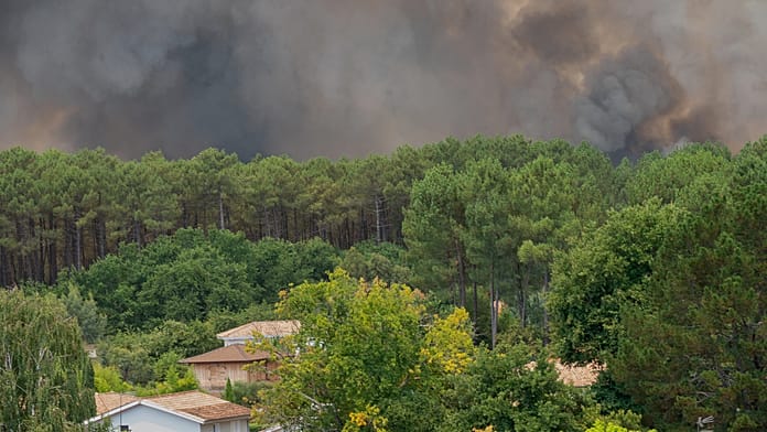 France: Massive blaze engulfs Cap Ferret forests as thousands evacuated