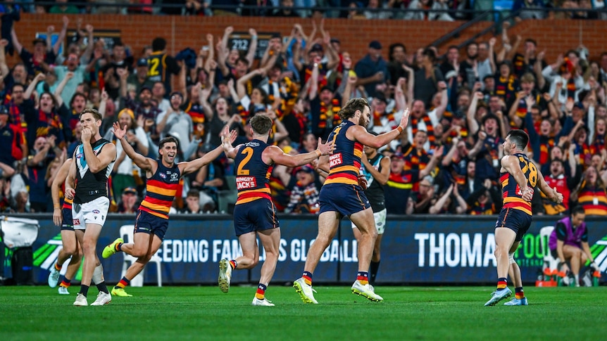Crows claim epic after two goals inside final minute as Freo downs Dogs