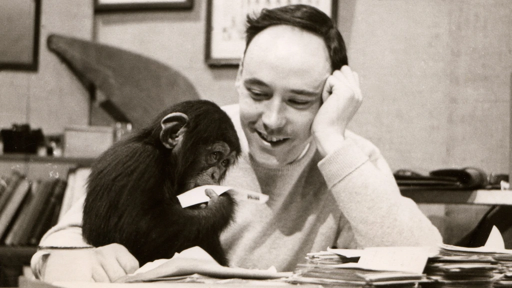 Zoöloog Desmond Morris (De Naakte Aap) overleden op 98-jarige leeftijd