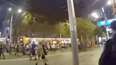 Bodycam footage shows police officer revelling after altercation with Herzog protester