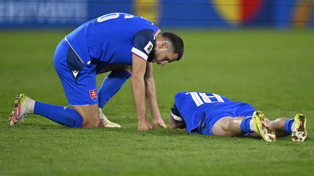 Van Persie baalt van blessure Sauer, Feyenoord claimt compensatie bij Slowaakse bond