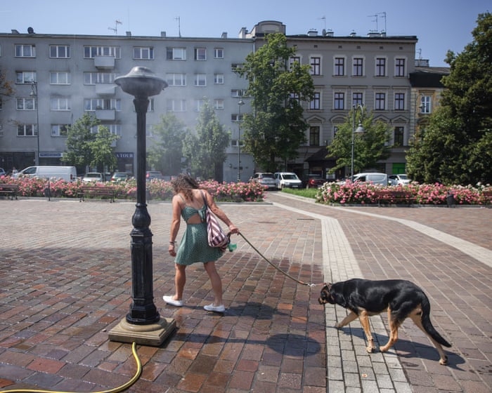Germany, Czechia, Poland and Hungary swelter through hottest days on record