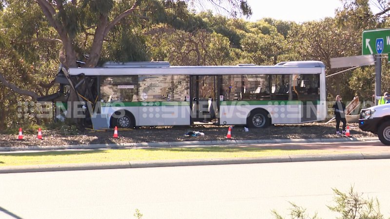 Man dies after Transperth bus crashes into tree in Wanneroo