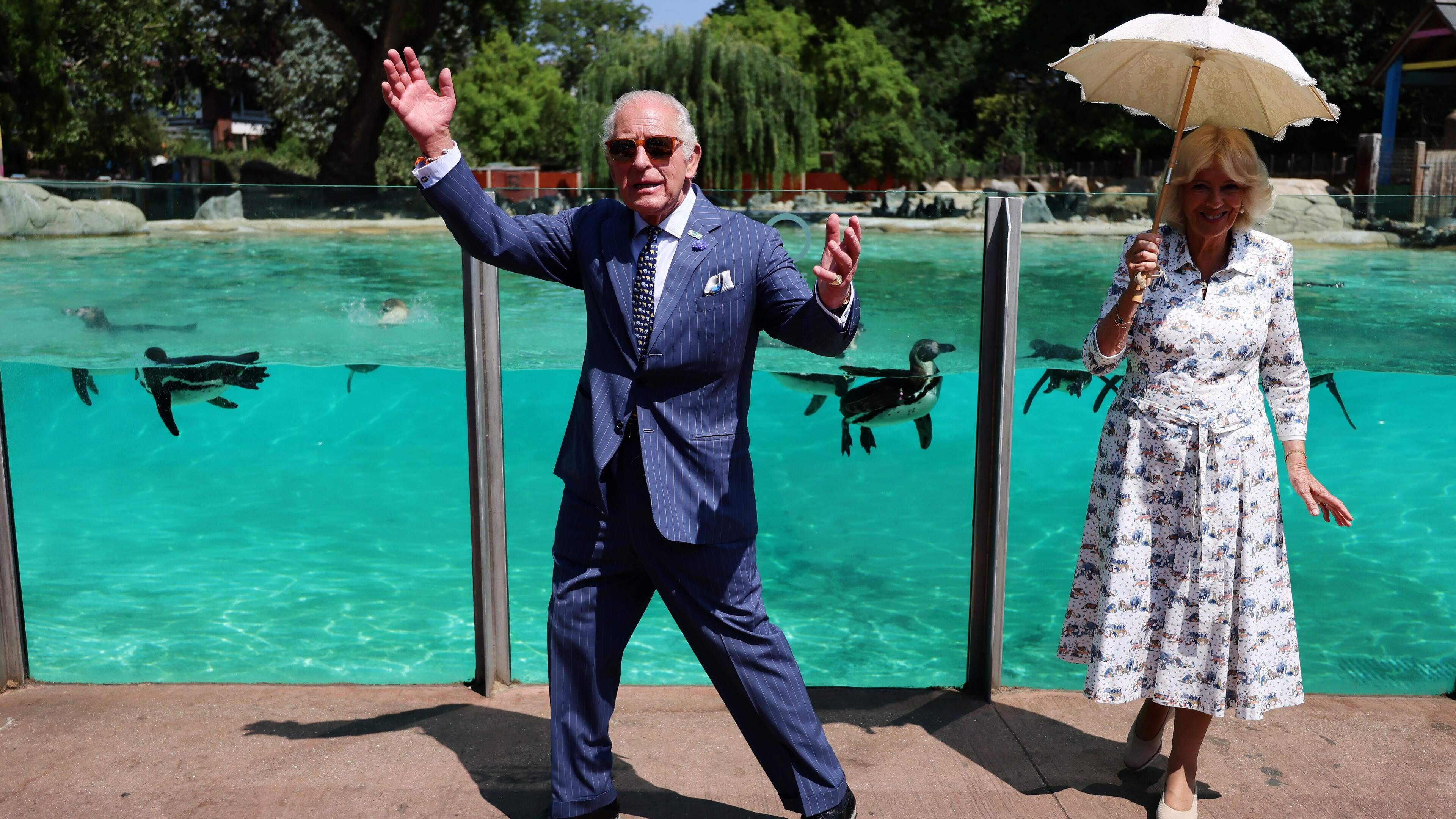 Koning Charles (77) schildert huisje van een slak bij bezoek aan Londense dierentuin: ’Veel gedaan in mijn leven...’