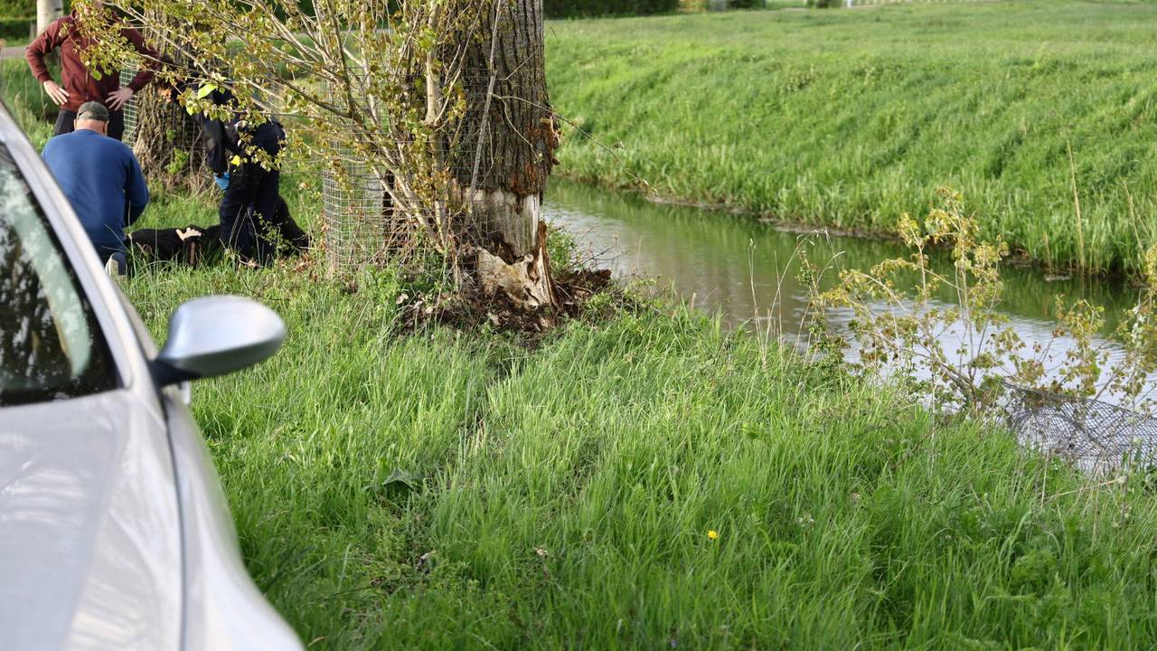 Motorrijder botst tegen boom en eindigt in de sloot in Sambeek