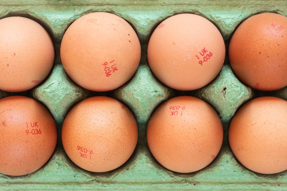 Salmonella outbreak linked to recalled eggs leaves nearly 100 people ill