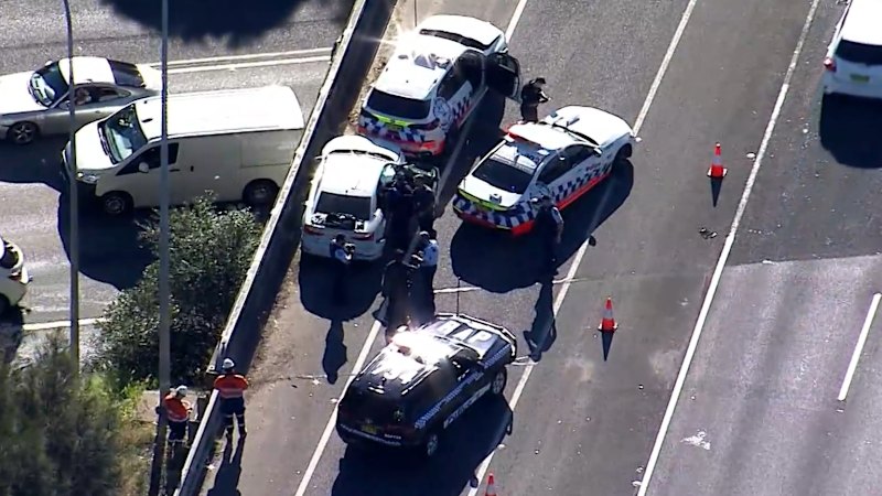 Firearms seized after police chase in Sydney