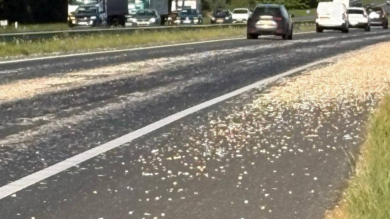 A58 dicht richting Bergen op Zoom, wegdek bezaaid met uien