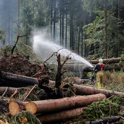 Natuurbrand in Hoge Venen volledig onder controle, zeldzame korhoen gered