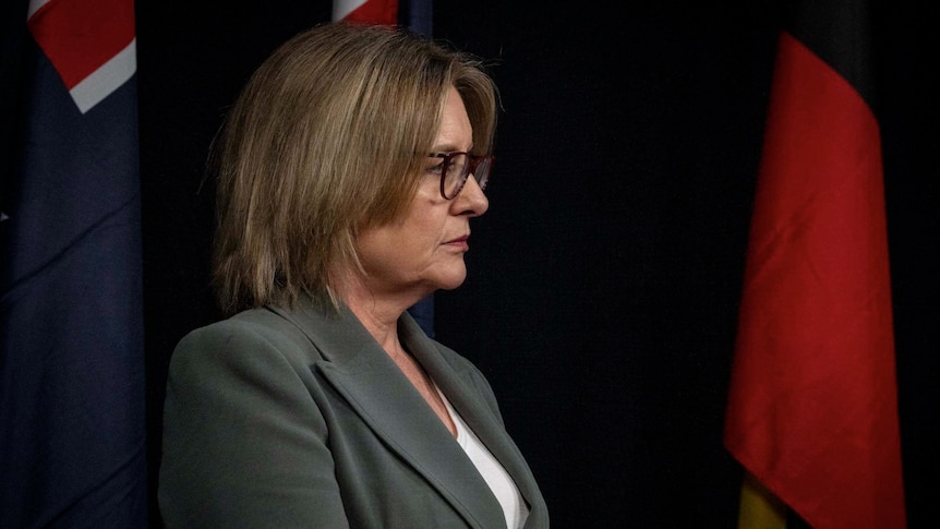 Jacinta Allan steps aside as Victorian premier