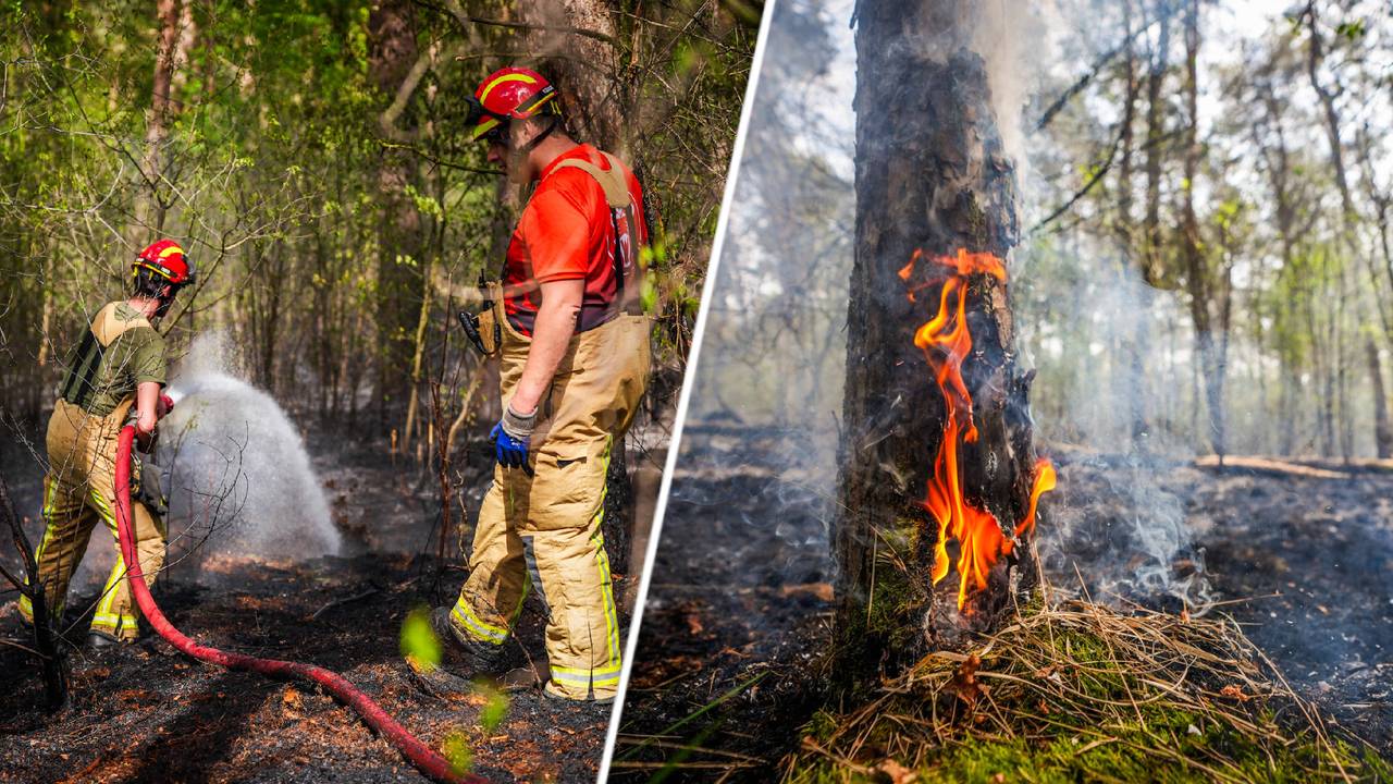 Reeks natuurbranden op defensieterrein, Marechaussee schaalt op