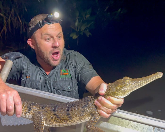 Disbelief as crocodile captured in Newcastle creek thousands of kilometres from natural habitat