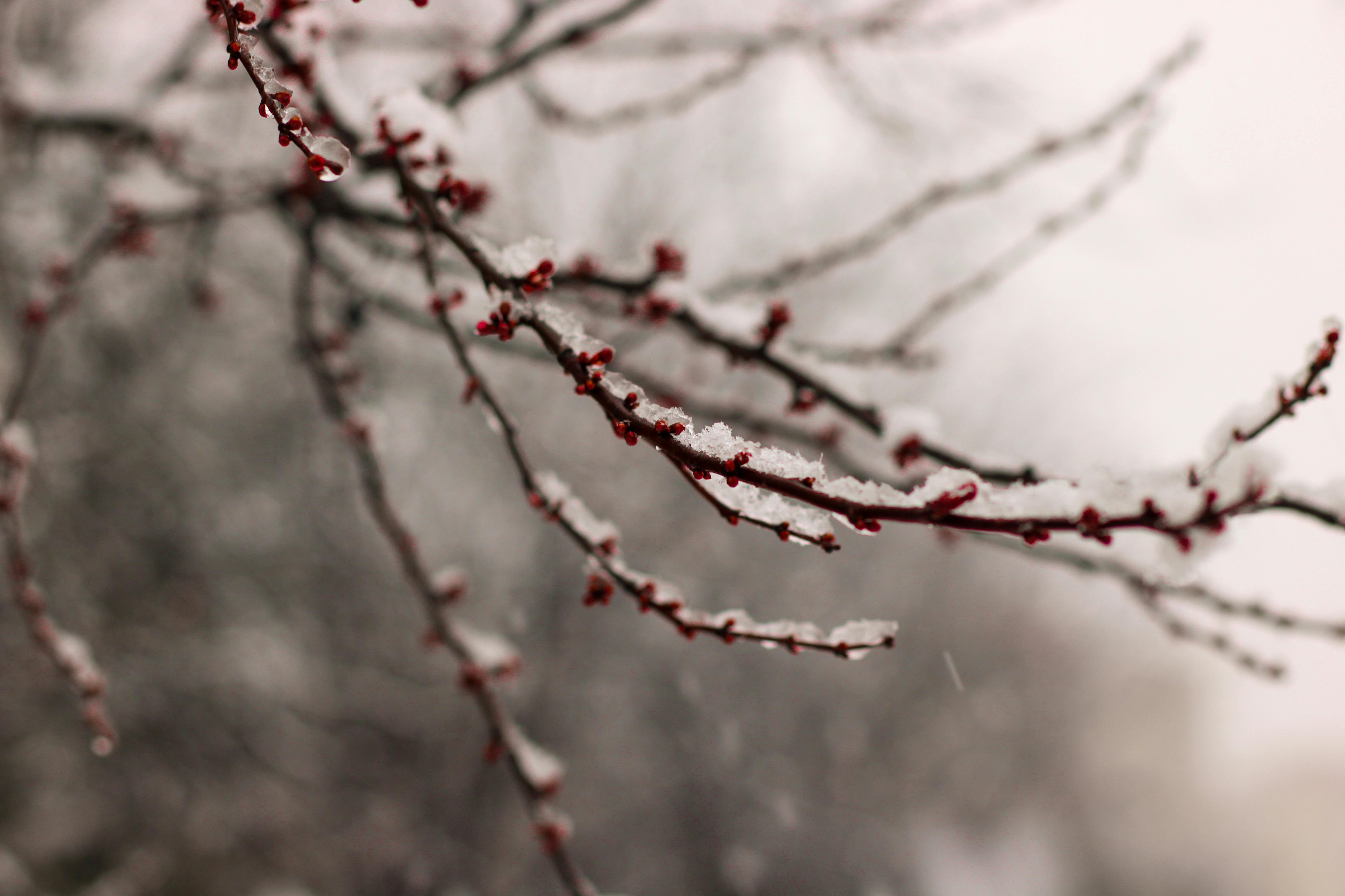 Het is koud en glad: code oranje in sommige delen van het land
