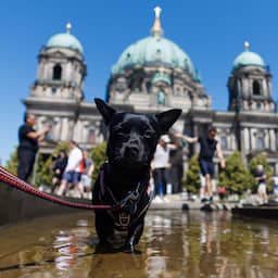 Live hitte | Hoogste temperatuur ooit in Duitsland: 41,3 graden in Saarbrücken