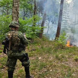 Militairen te paard ontdekken bosbrand bij Austerlitz: 'Erger voorkomen'