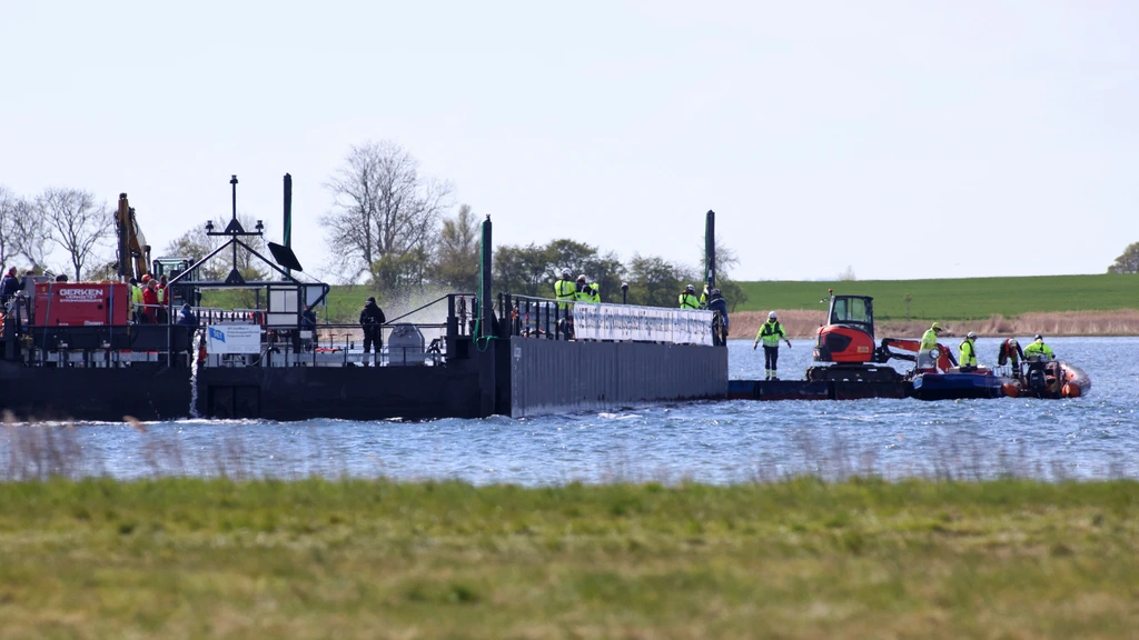 Reddingspoging bultrug Timmy aan de gang, nog lange weg te gaan