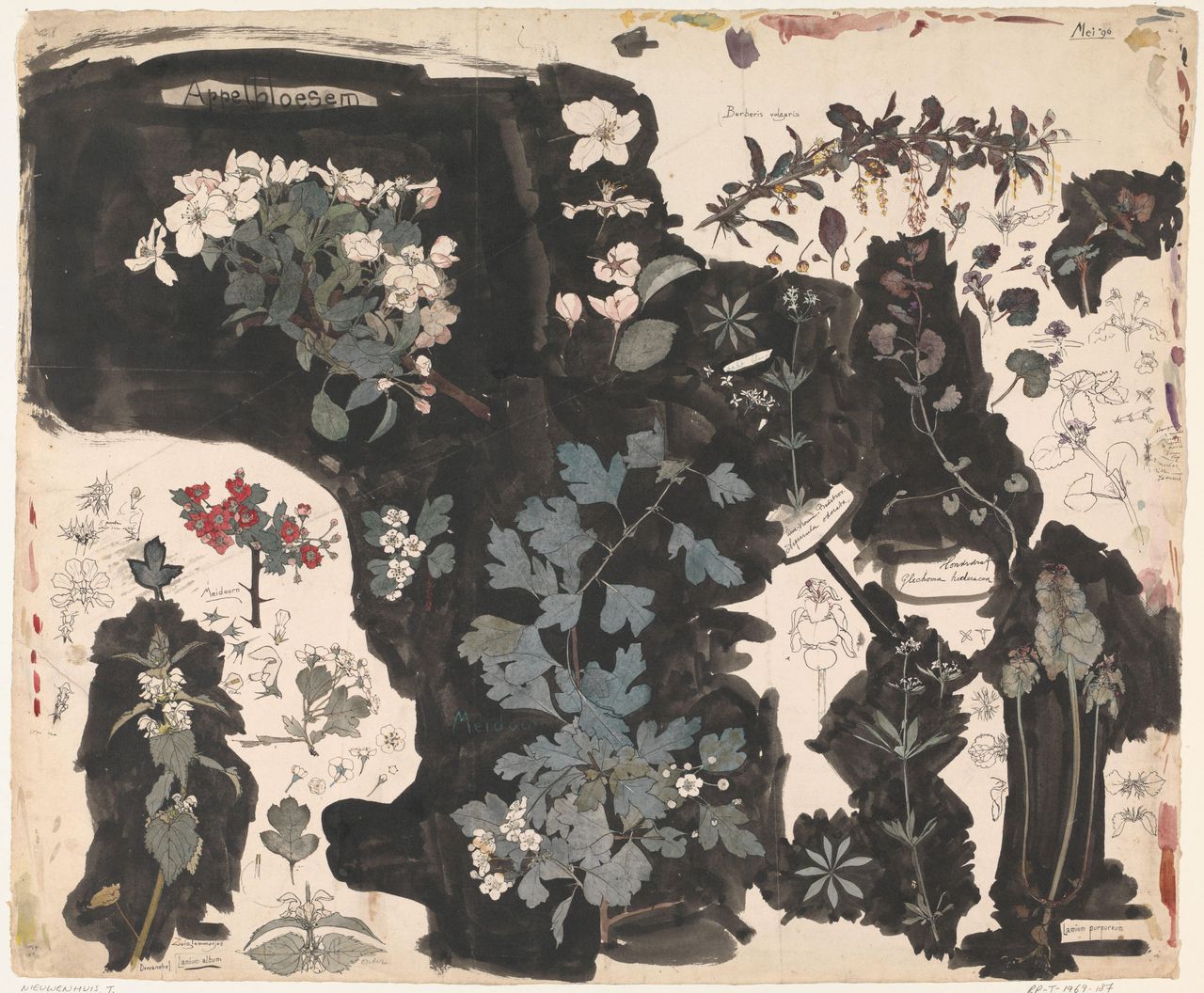 Meidoorn in de kunst: soms een wolkige, weelderige haag, dan weer stekelig en vijandelijk
