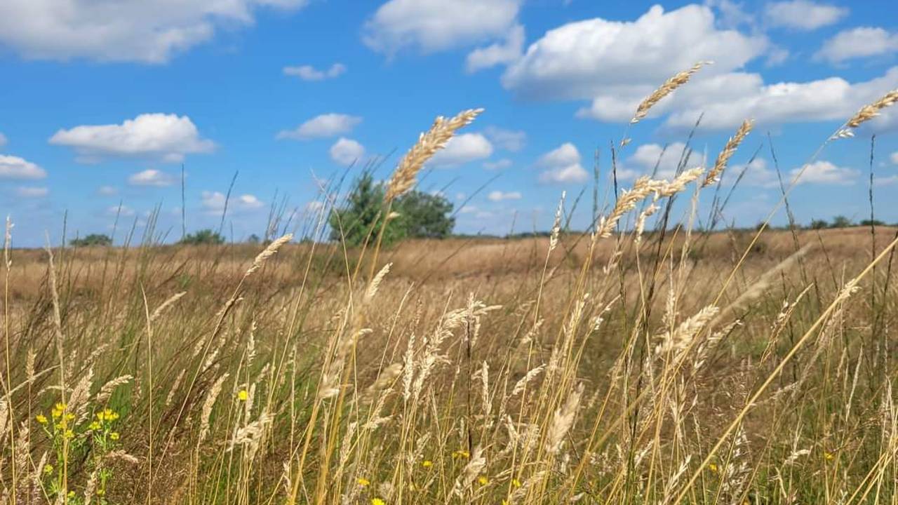 Verkoeling in aantocht, maar dit weekend is het nog flink zweten