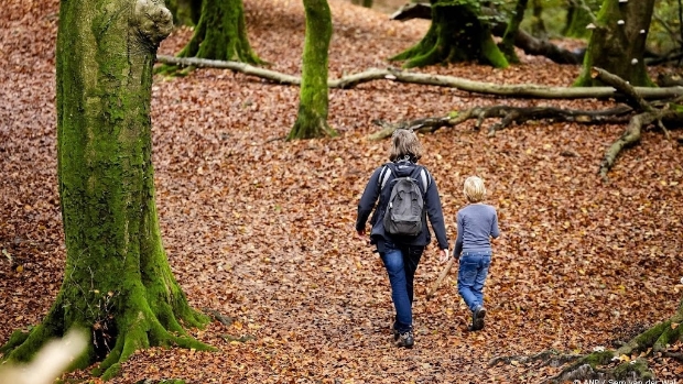 Astronomische herfst begint wisselvallig en koel