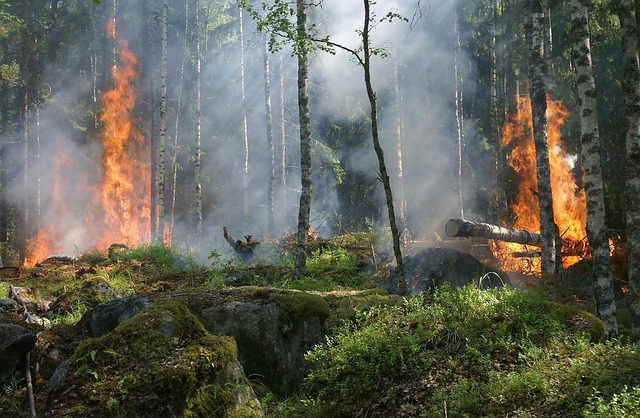 Ukrainian drone attack on Saint Petersburg kills one, sets refinery ablaze