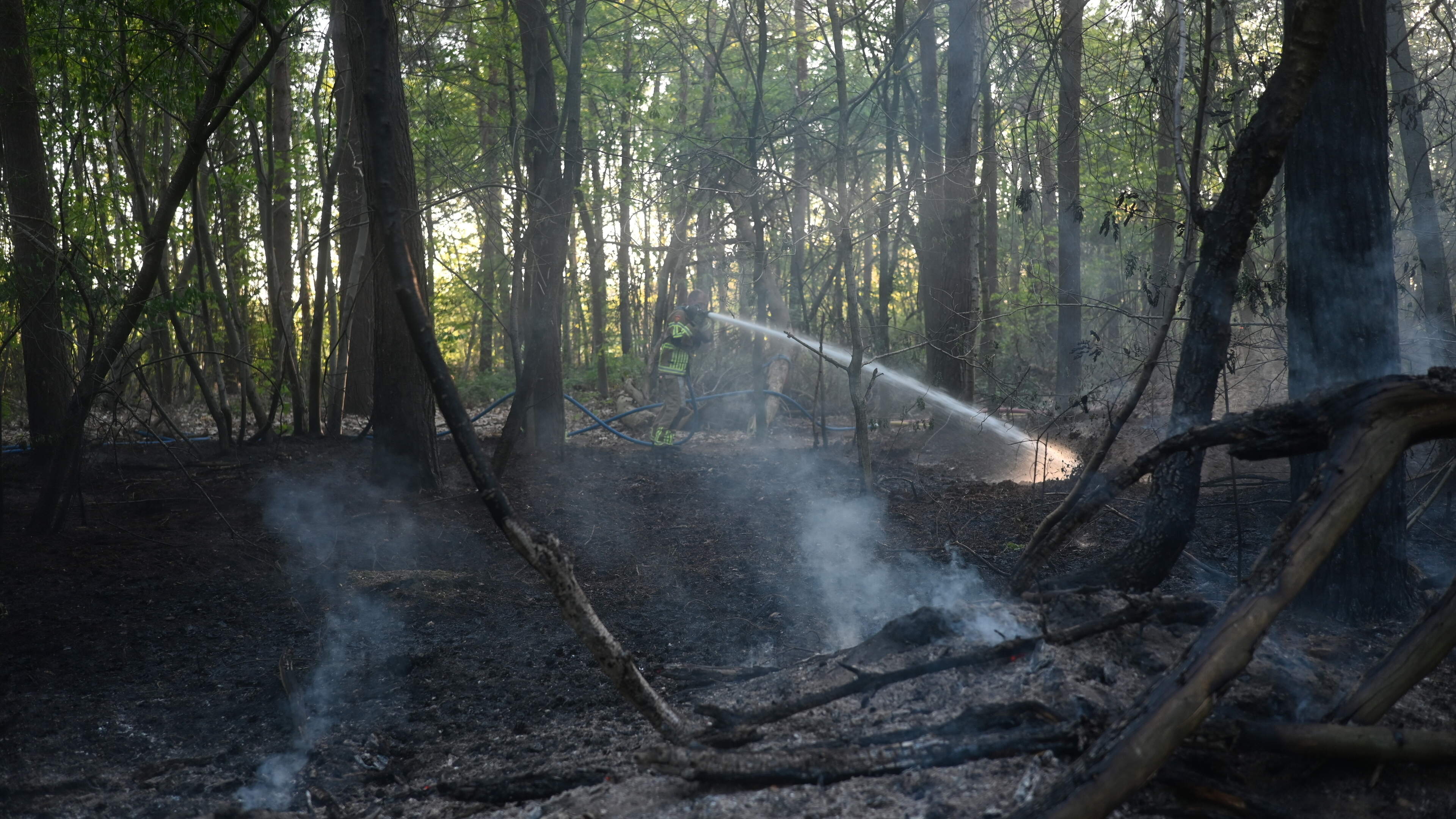 Bosbrand in Malden geblust