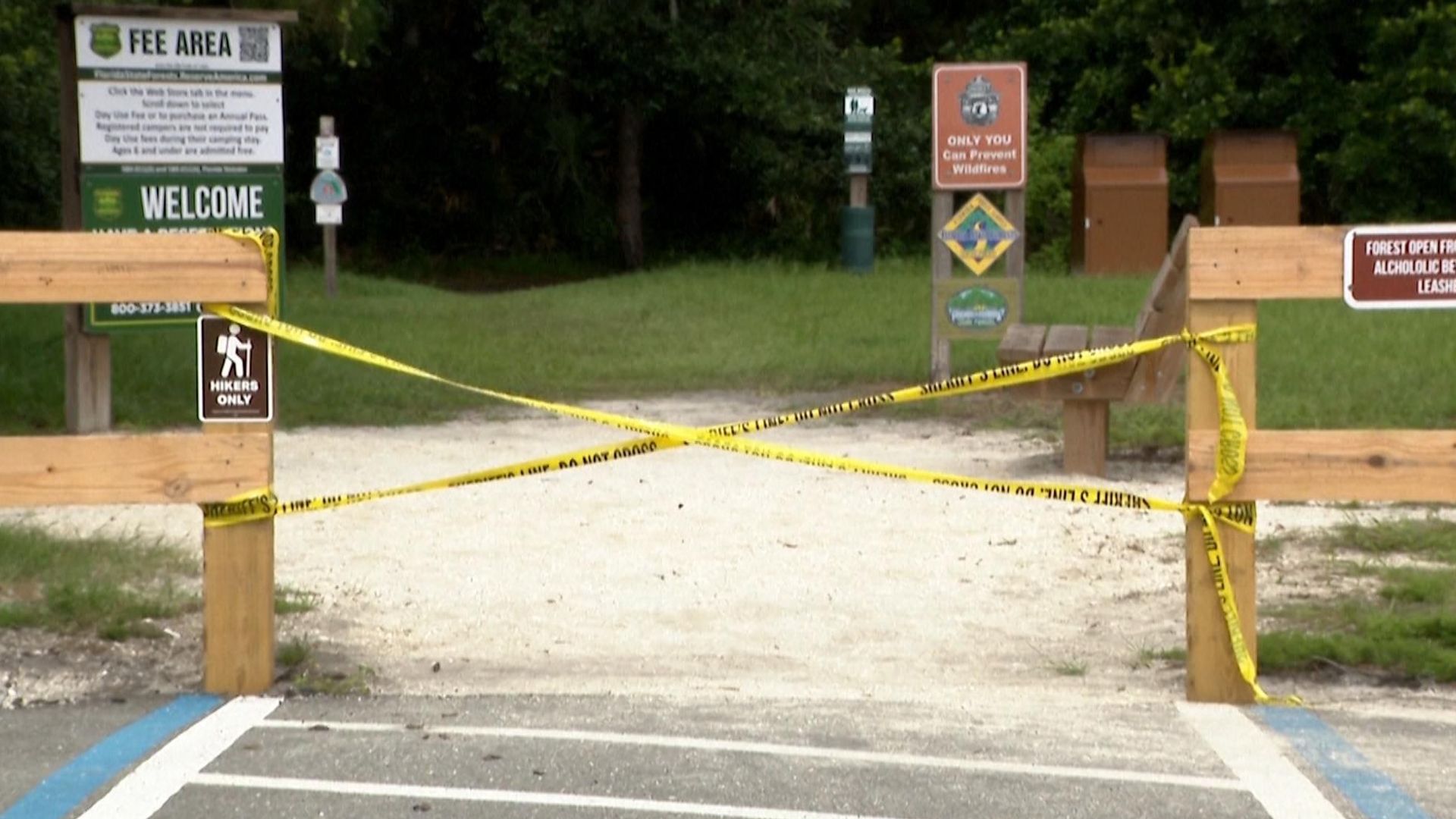 Woman dies after alligator bites off her arm in Florida