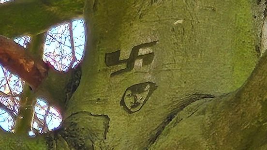 Portret van Hitler verscholen in Haagse Bos: 'Heeft een functie'
