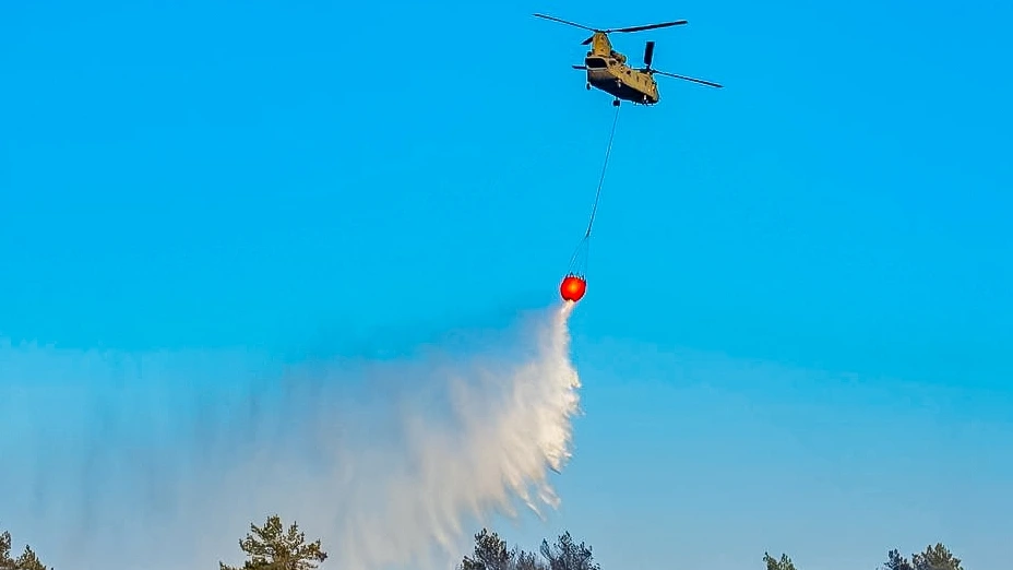 Brandweer geeft na dagen sein brand meester voor grote natuurbrand 't Harde