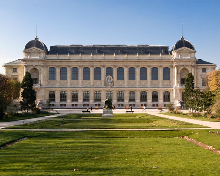 Precious gold samples stolen in raid on French natural history museum