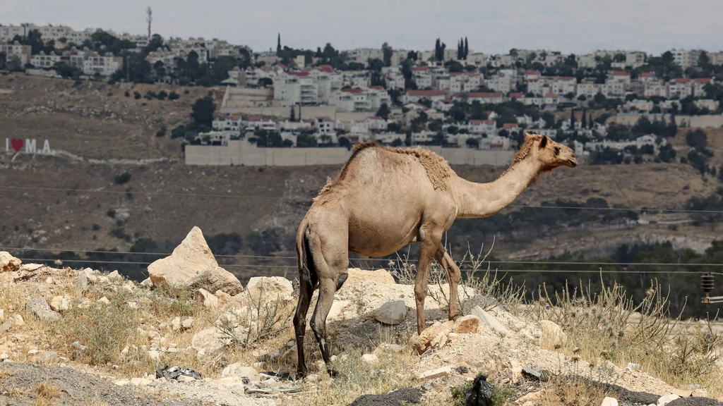 Nederland veroordeelt Israël om biedingen op omstreden bouwproject Westoever
